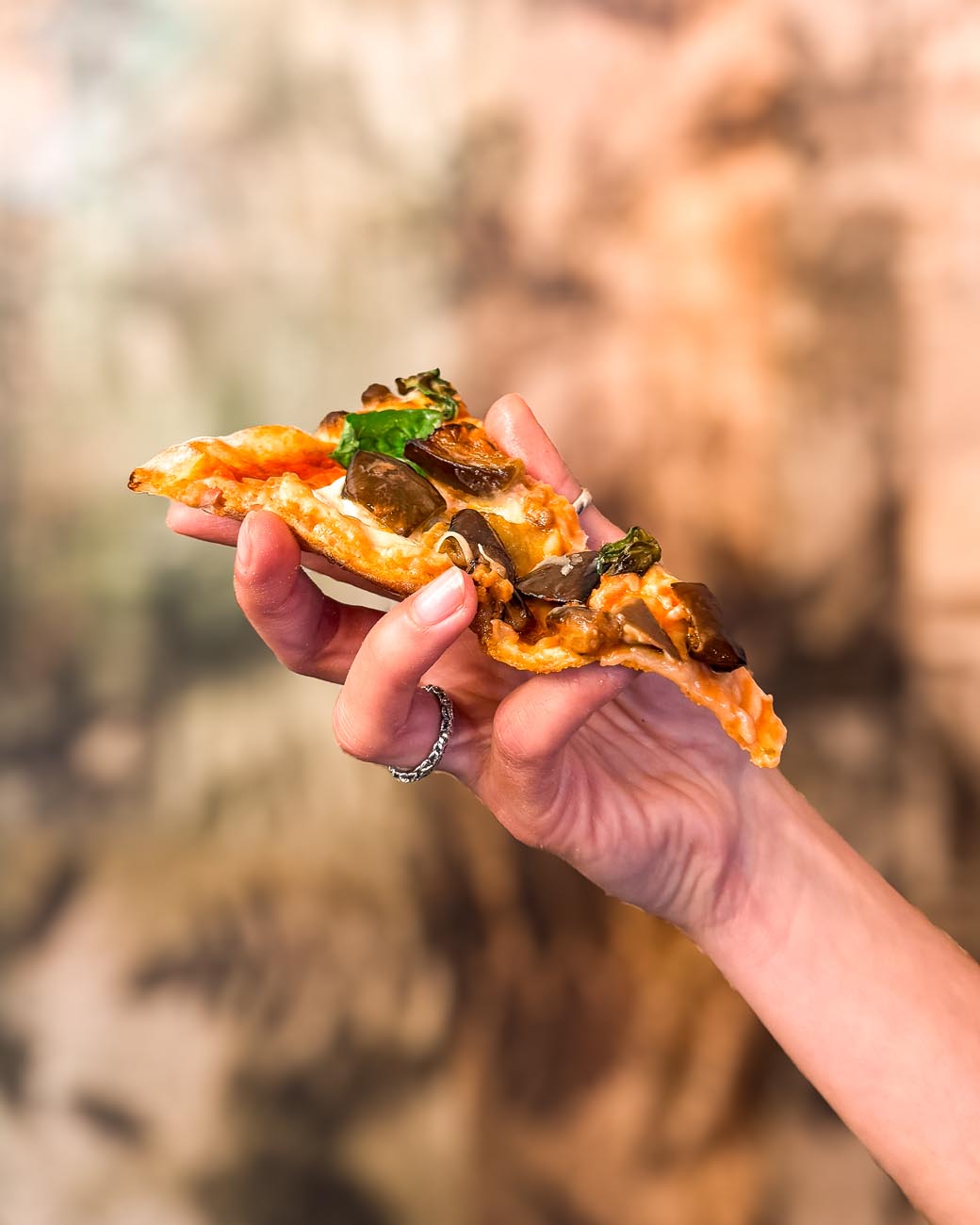 il-giardino-nascosto (14)